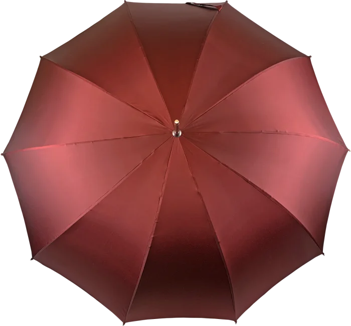 Çadër elegante për meshkuj me Labrador të argjendtë - Image 2