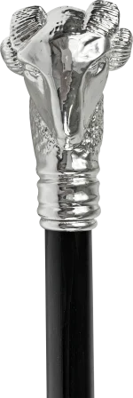 BASTUN - il Marchesato i veshur me argjend - Image 2