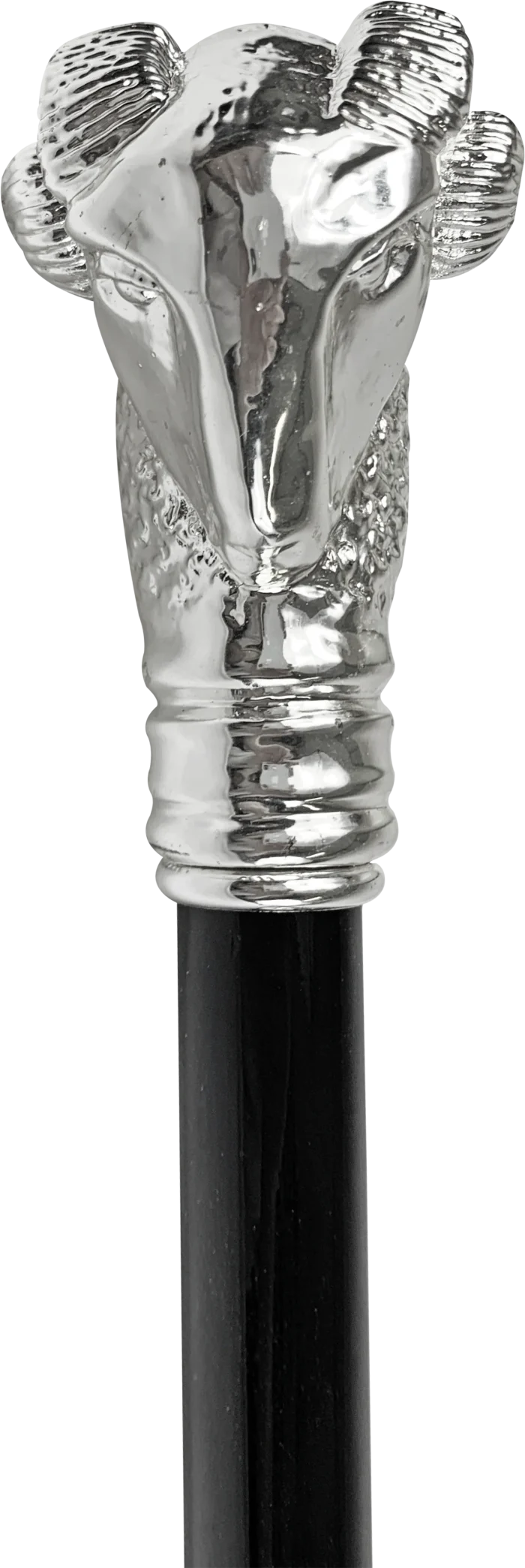 BASTUN - il Marchesato i veshur me argjend - Image 2