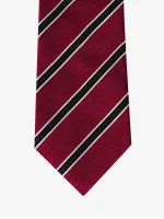 Kravatat trepalëshe - Image 43