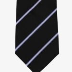 Cravatta a Strisce - Azzurra & Blu