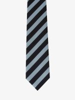 Cravatta a Strisce - Blu & Azzurra